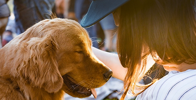 Love!Animals: 齊支持SPCA及善待動物