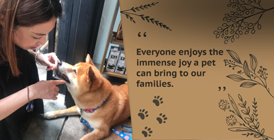 Love!Animals: 柴犬主題咖啡店店主們告訴您動物教育的幫助