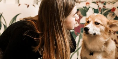 寵物可飲用的咖啡 — Puppuccino