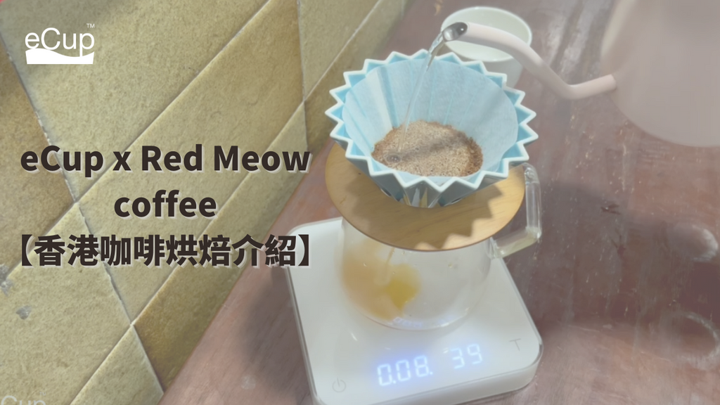 【香港咖啡烘焙】Red Meow Coffee 炒豆辛酸史 | 拍賣咖啡豆 | 推薦沖煮教學😍！