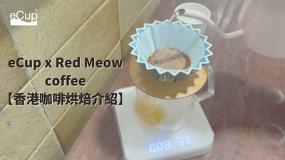 【香港咖啡烘焙】Red Meow Coffee 炒豆辛酸史 | 拍賣咖啡豆 | 推薦沖煮教學😍!