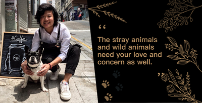 Love!Animals: 咖啡店店主Jack呼籲大家協助遇危難的動物