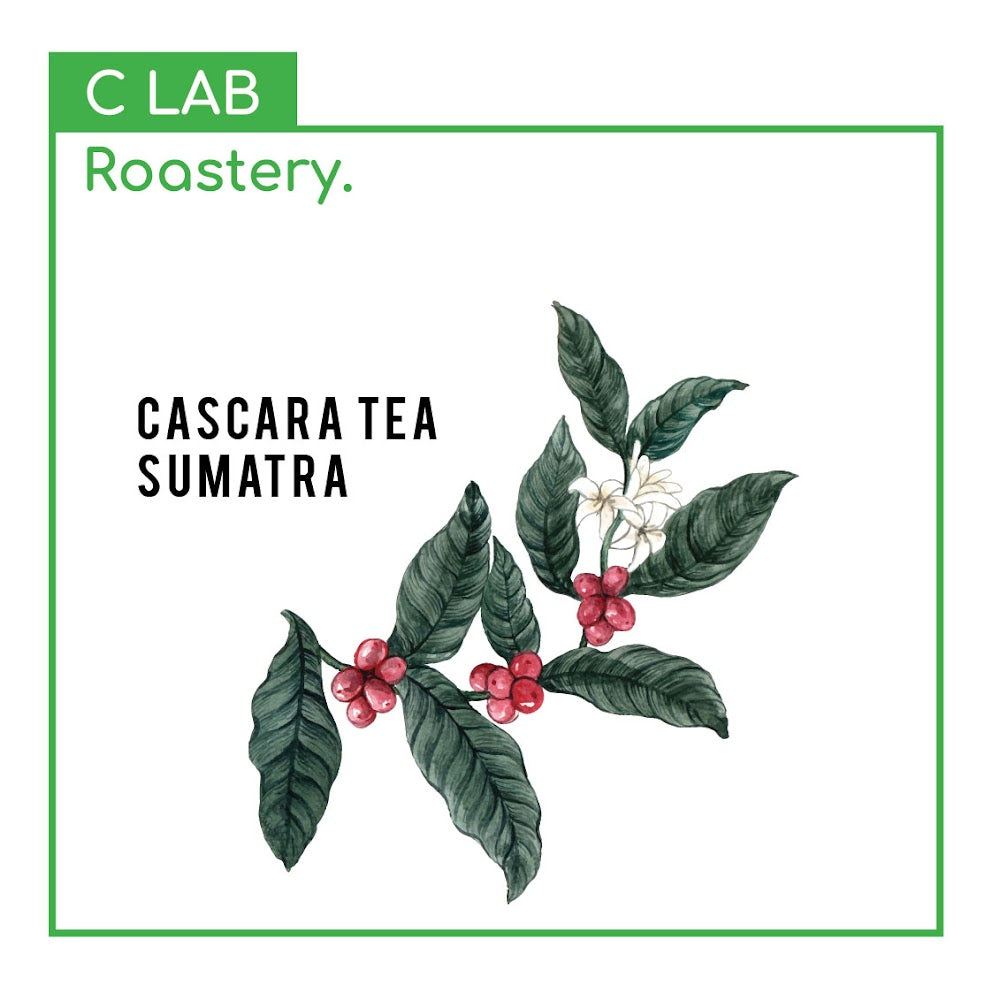 Cascara Tea